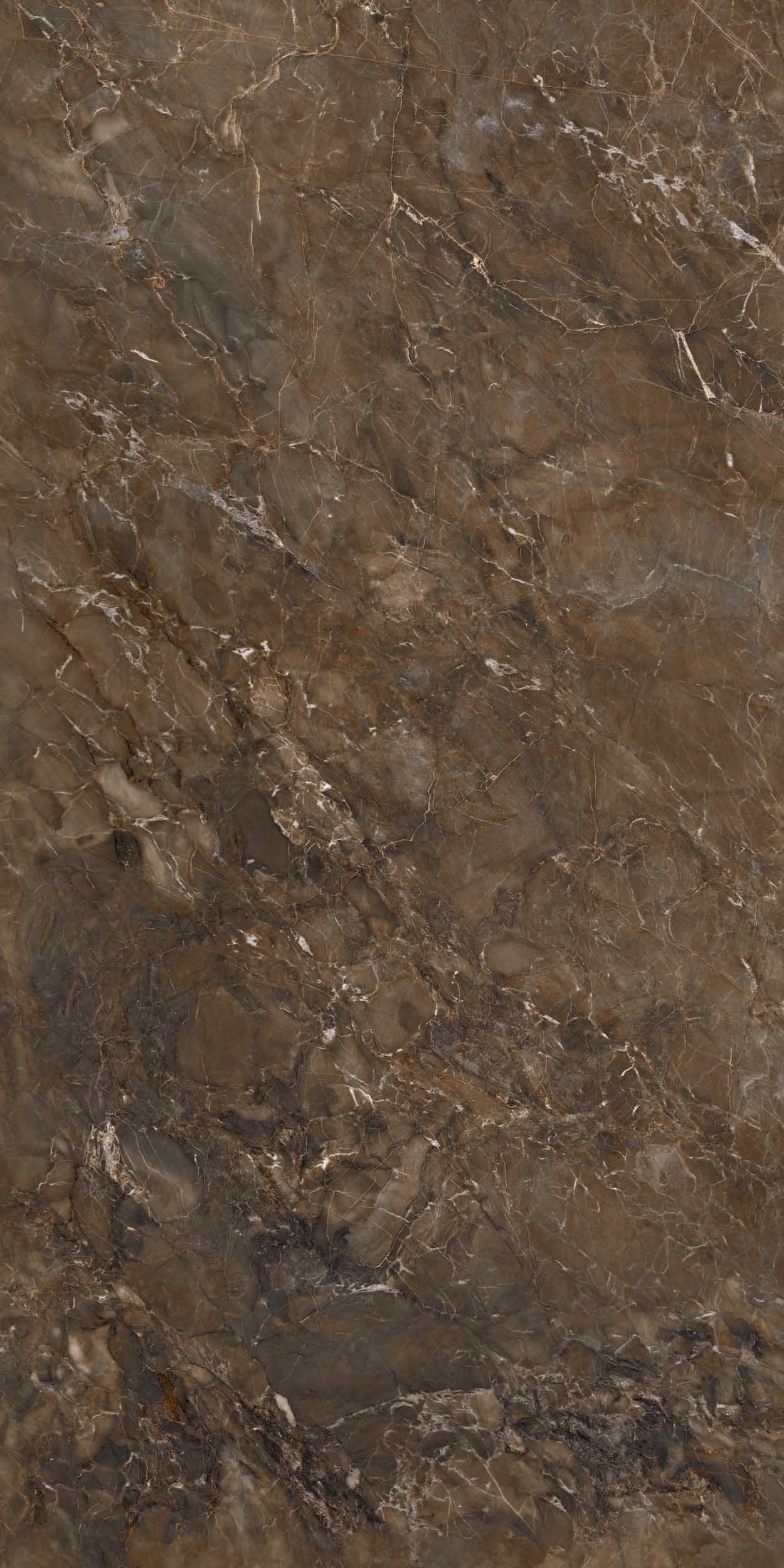 Керамогранит BR04 60x120x9 Непол.Рект. (Керамический гранит) #5