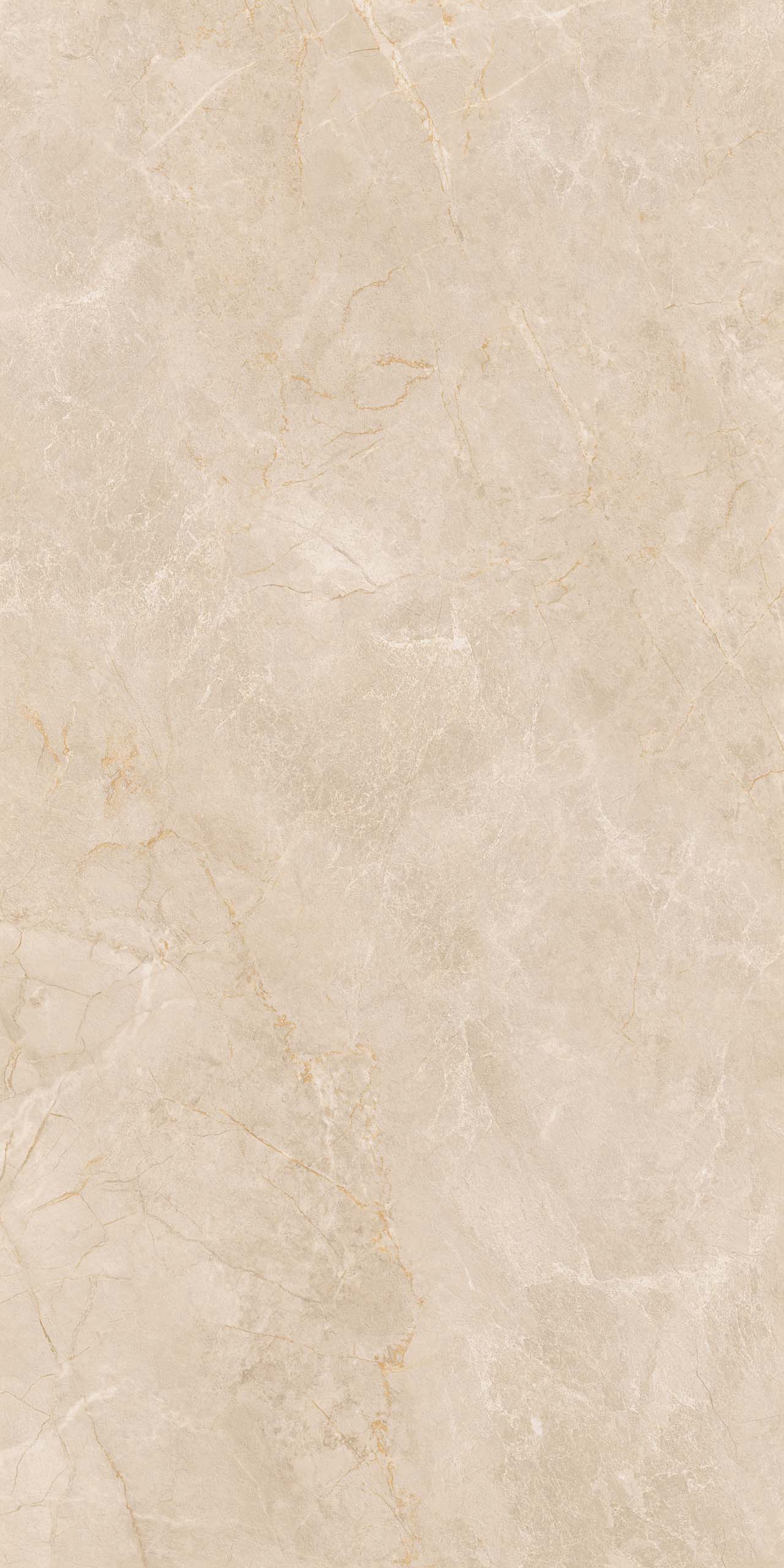 Керамогранит EXM301 60x120x9 Непол.Рект. (Керамический гранит) #4