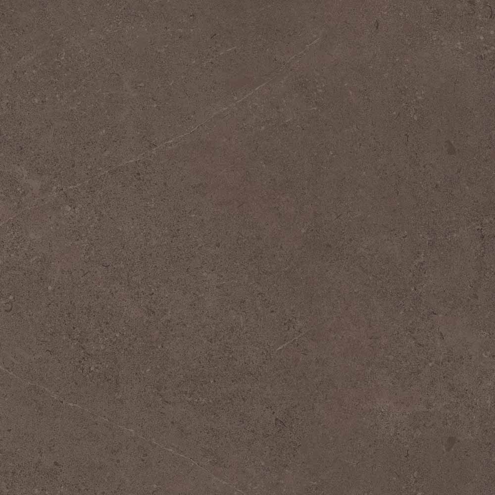 Керамогранит GO03 60x60x9 Непол.Рект. (Керамический гранит) #4