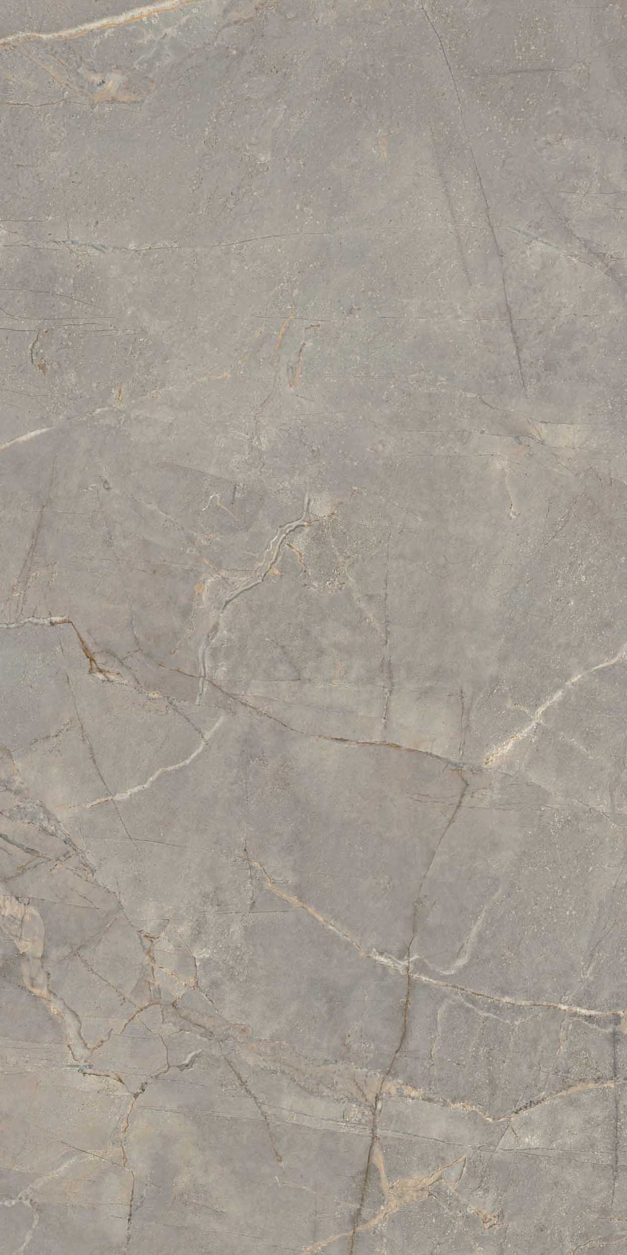 Керамогранит BR03 60x120x9 Непол.Рект. (Керамический гранит) #12