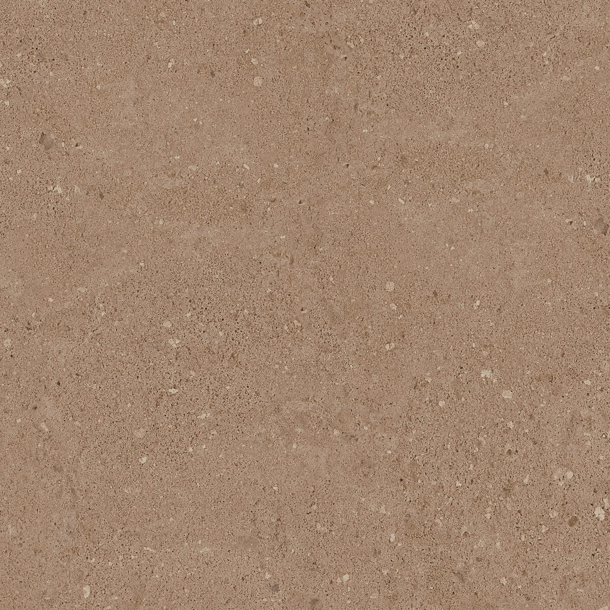 Керамогранит NP03 40,5x40,5x8 Непол. (Керамический гранит) (43,296 м2) #9