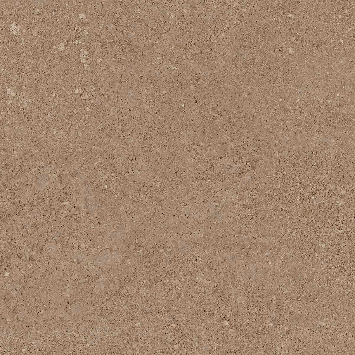 Керамогранит NP03 40,5x40,5x8 Непол. (Керамический гранит) (43,296 м2) #10