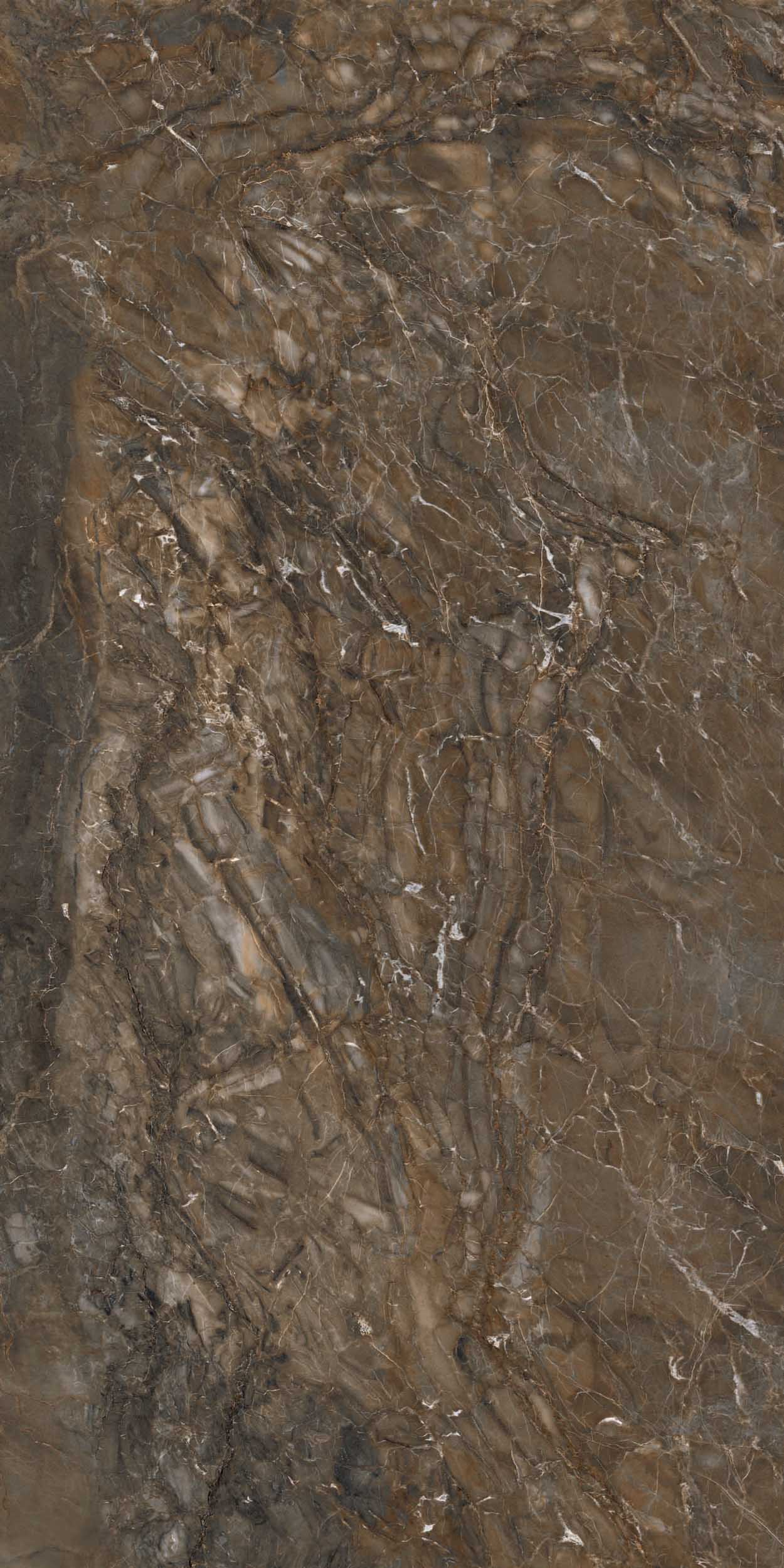 Керамогранит BR04 60x120x9 Непол.Рект. (Керамический гранит) #4