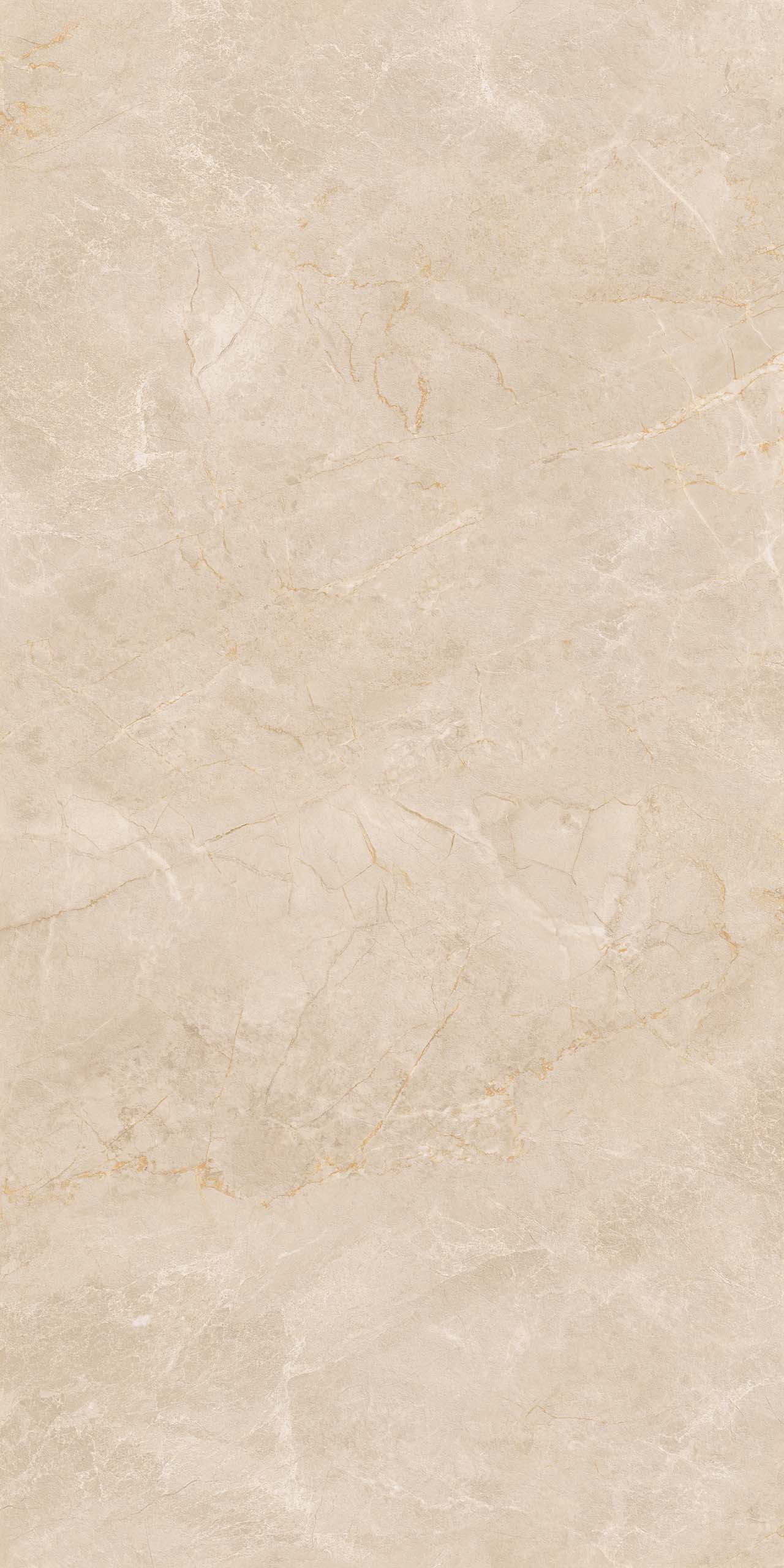 Керамогранит EXM301 60x120x9 Непол.Рект. (Керамический гранит) #6