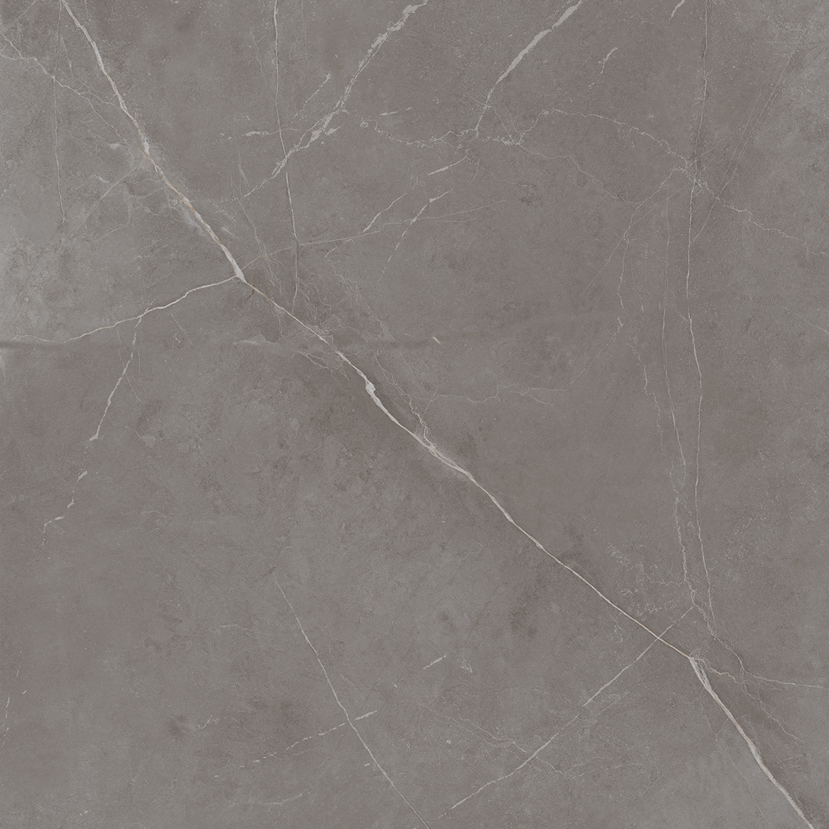 Керамогранит NL03 60x60x10 Непол.Рект. (Керамический гранит)-5