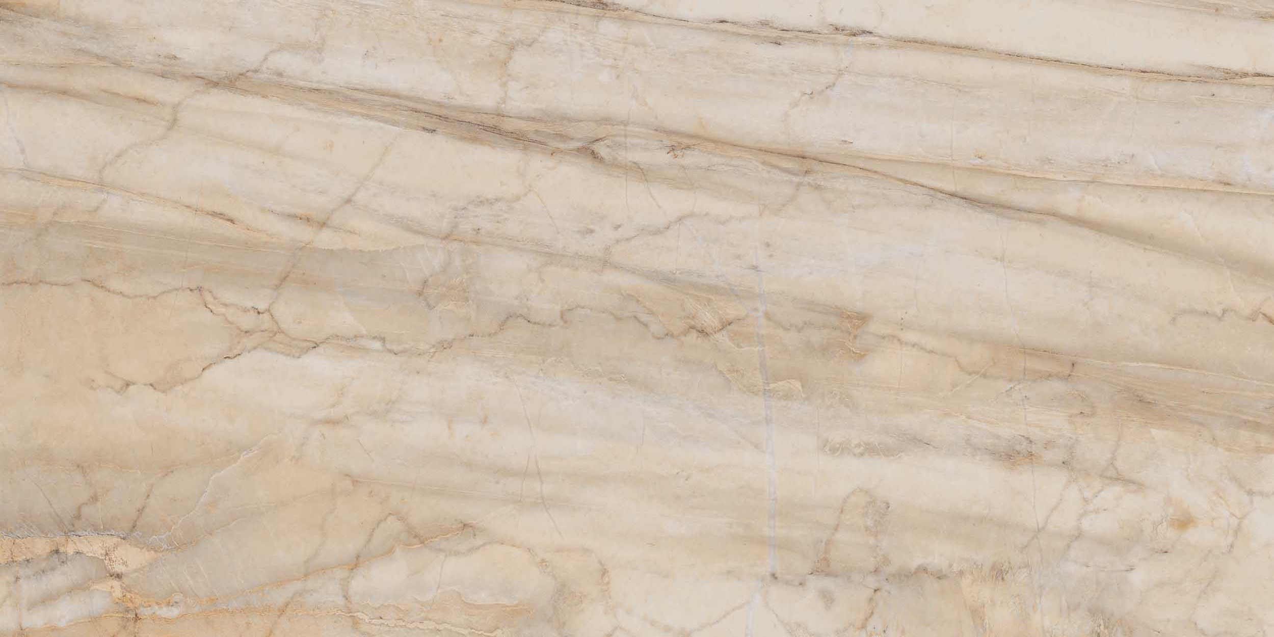 Керамогранит BR01 60x120x10 Непол.Рект. (Керамический гранит) #5