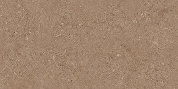 Керамогранит NP03 30,6x60,9x8 Непол. (Керамический гранит) #11