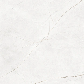 Керамогранит NL00 60x60x9 Непол.Рект. (Керамический гранит)_18