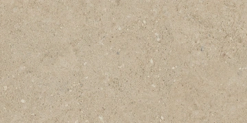 Керамогранит NP02 30,6x60,9x8 Непол. (Керамический гранит) #7