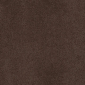 Керамогранит CA03 60x60x10 Непол.Рект. (Керамический гранит)_1