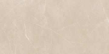 Керамогранит NL01 60x120x9 Непол.Рект. (Керамический гранит)_10