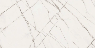 Керамогранит EXM102 60x120x9 Непол.Рект. (Керамический гранит) #2