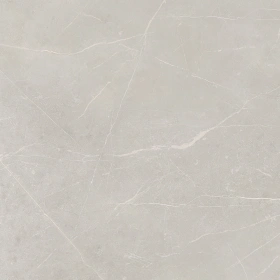 Керамогранит  NL00 60x60x10 Полир. (Керамический гранит) _18
