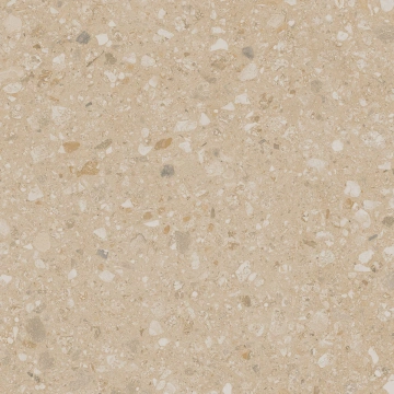 Керамогранит JP02 40,5x40,5x8 Непол. (Керамический гранит) (43,296 м2) #5