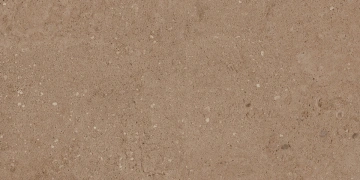 Керамогранит NP03 30,6x60,9x8 Непол. (Керамический гранит) #5
