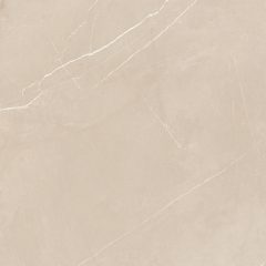 Керамогранит NL01 60x60x10 Непол.Рект. (Керамический гранит) #20