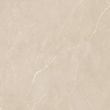 Керамогранит NL01 60x60x9 Полир. (Керамический гранит) #13