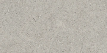 Керамогранит NP01 30,6x60,9x8 Непол. (Керамический гранит) #8