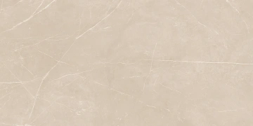 Керамогранит NL01 60x120x9 Полир. (Керамический гранит) #6