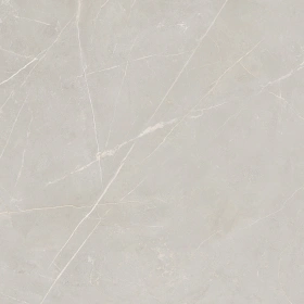 Керамогранит  NL00 60x60x10 Полир. (Керамический гранит) _7