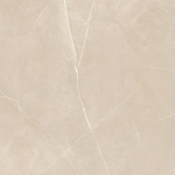 Керамогранит NL01 80x80x10 Непол.Рект. (Керамический гранит) #5