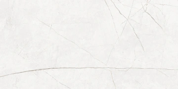 Керамогранит NL00 60x120x10 Полир. (Керамический гранит)_3