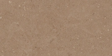 Керамогранит NP03 30,6x60,9x8 Непол. (Керамический гранит) #3
