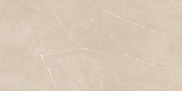 Керамогранит NL01 60x120x9 Непол.Рект. (Керамический гранит)-9