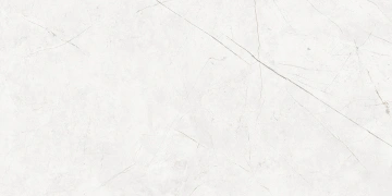 Керамогранит NL00 60x120x9 Полир. (Керамический гранит) #6