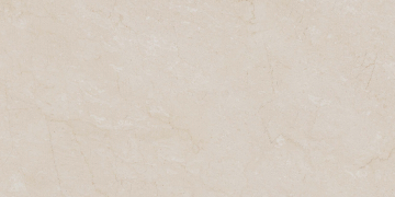 Керамогранит AEM00 60x120x9 Непол.Рект. (Керамический гранит)-12