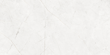 Керамогранит NL00 60x120x9 Непол.Рект. (Керамический гранит)-3