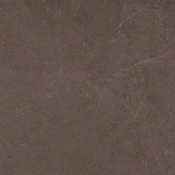 Керамогранит GO03 60x60x9 Непол.Рект. (Керамический гранит) #5