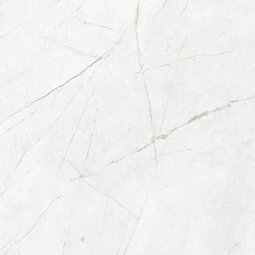 Керамогранит NL00 60x60x9 Полир. (Керамический гранит) #19