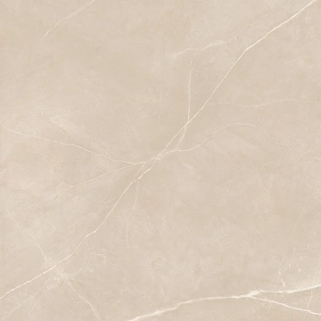 Керамогранит NL01 60x60x9 Полир. (Керамический гранит) #19
