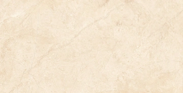 Керамогранит MA02 60x120х9 Непол.Рект. (Керамический гранит) #5