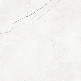 NL00 60x60x10 Непол.Рект. (Керамический гранит)_18