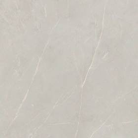 Керамогранит  NL00 60x60x10 Полир. (Керамический гранит) _15