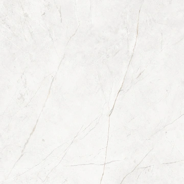 Керамогранит NL00 60x60x9 Непол.Рект. (Керамический гранит)_17