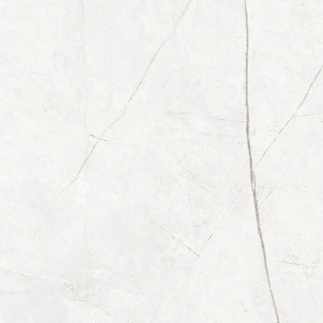 Керамогранит NL00 60x60x10 Непол.Рект. (Керамический гранит)_5