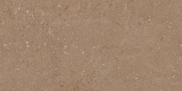Керамогранит NP03 30,6x60,9x8 Непол. (Керамический гранит) #6