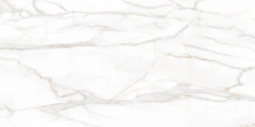 Керамогранит SM02 60x120x10 Непол.Рект. (Керамический гранит)_1