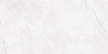 Керамогранит NL00 60x120x9 Полир. (Керамический гранит) #11