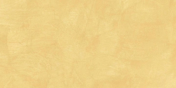 Керамогранит SR04 60x120х10 Непол.Рект. (Керамический гранит) #4