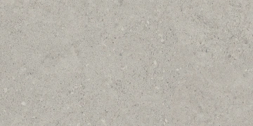 Керамогранит NP01 30,6x60,9x8 Непол. (Керамический гранит) #6