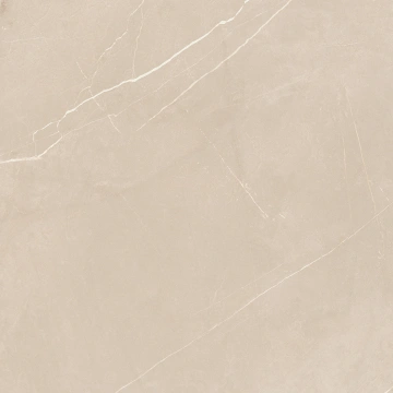 Керамогранит NL01 60x60x9 Полир. (Керамический гранит) #20