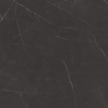 Керамогранит NL04 60x60x9 Непол.Рект. (Керамический гранит)_5
