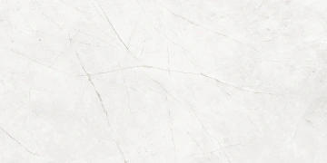 Керамогранит NL00 80x160x10 Непол.Рект. (Керамический гранит) #2