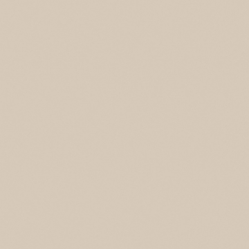 Керамогранит RW01 60x60x9 Непол.Рект. (Керамический гранит)-2