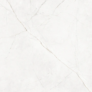 Керамогранит NL00 60x60x9 Полир. (Керамический гранит) #5