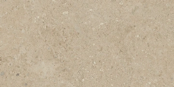 Керамогранит NP02 30,6x60,9x8 Непол. (Керамический гранит) #10
